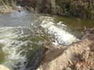 DSC00854