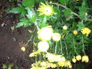 IMGP5626