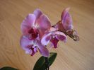 DSC05710
