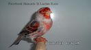 SAM_2865