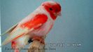 SAM_2881
