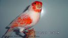 SAM_2888