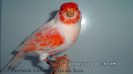 SAM_2891