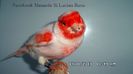 SAM_2896