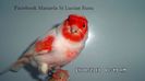 SAM_2902