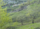 IMG_9064