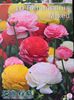 RANUNCULUS