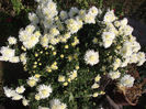 DSCF1467