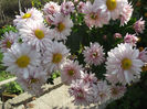 DSCF1471
