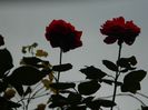 DSCN7189