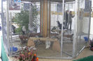 HANNOVER 2013 (16)