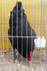 HANNOVER 2013 (77)