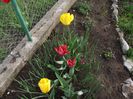DSCF4813