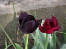 DSCF4956