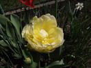 DSCF4844