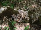 DSCF4916