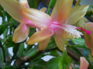 DSCN6830_009