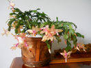 DSCN6832_011