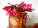 DSCN6834_013
