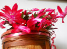 DSCN6837_016