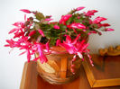 DSCN6844_023