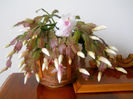 DSCN6847_026
