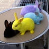 avatare_animale_1711