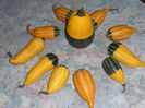 DSCN3770