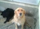 Lexy