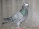IMG_0677
