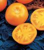 tangerine
