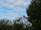 DSCN7273