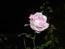 DSCN7287