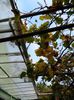 DSCN7395
