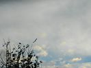 DSCN7420