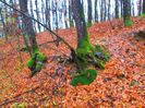 IMG_0483