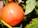 DSCN7528