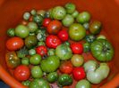 DSCN7547