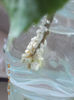 10 noiembrie 2013-flori 027