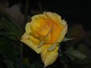 DSCN7779