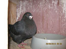 Picture 014