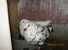 Picture 015