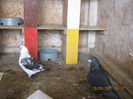 Picture 022