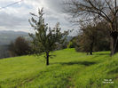 DSCN1273