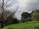 DSCN1274