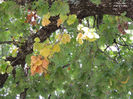 DSCN1276