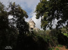 DSCN1277