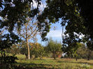 DSCN1280
