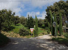 DSCN1281