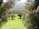 DSCN1285